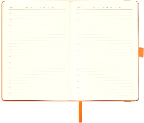  Ежедневник Alpha недатированный, оранжевый / оранжевый, Portobello