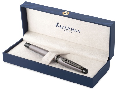 Ручка перьевая Waterman Expert DeLuxe, Metallic Silver RT (Перо M)