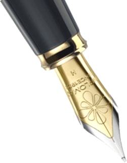 Перо для ручки Diplomat Excellence A bicolor nib, fittings GP (M)