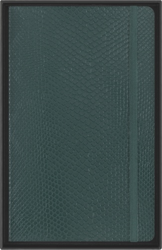  Блокнот Moleskine Limited Edition Precious & Ethical Boa, 130х210 мм, 240 стр., линейка, мягкая обложка, темно-зеленый