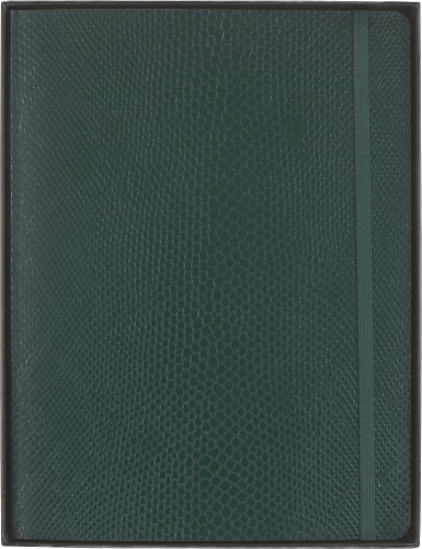  Блокнот Moleskine Limited Edition Precious & Ethical Boa, XLarge 176 стр., линейка, мягкая обложка, темно-зеленый