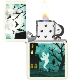  Зажигалка Zippo Spooky Design с покрытием Glow In The Dark Green